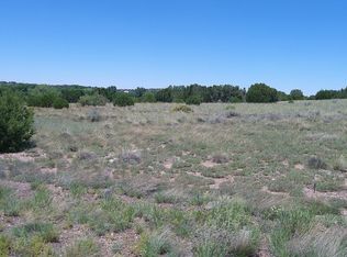 13 County Road 5084 #272, Concho, AZ 85924