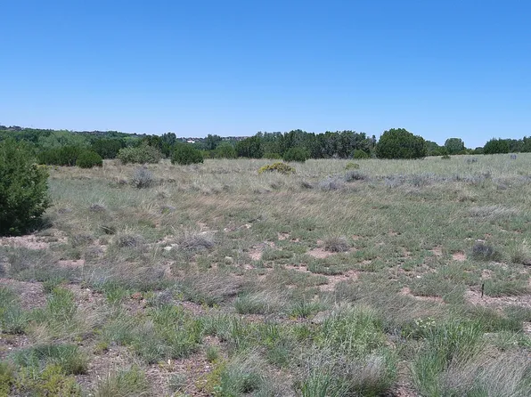 13 County Road 5084 #272, Concho, AZ 85924