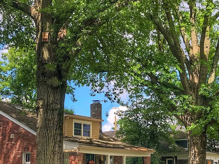 418 Iola Rd — Photo 1