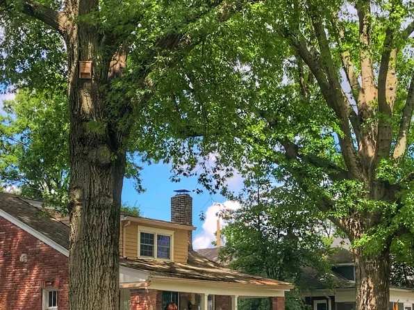 418 Iola Rd, Saint Matthews, KY 40207