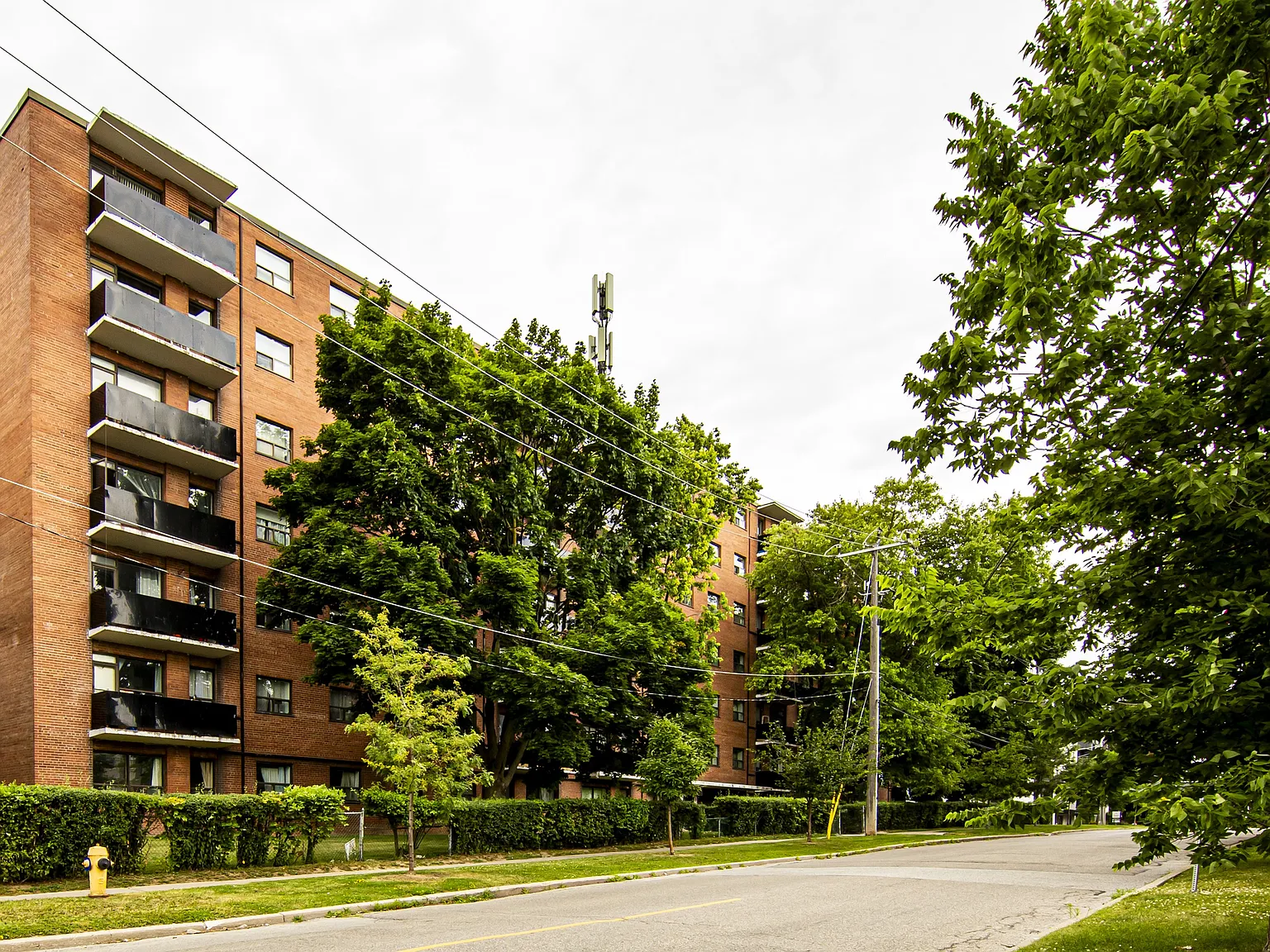 2 Treewood Street — Photo 3