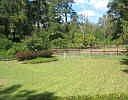 Huge backyard