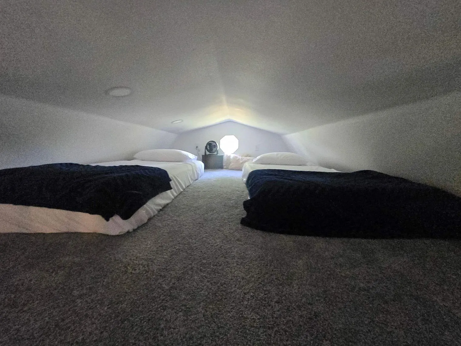 1 bed, 1.0 bath, $5,256 — Photo 4