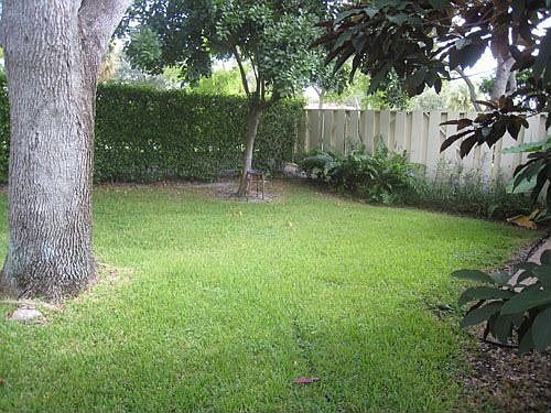  Spacious Backyard