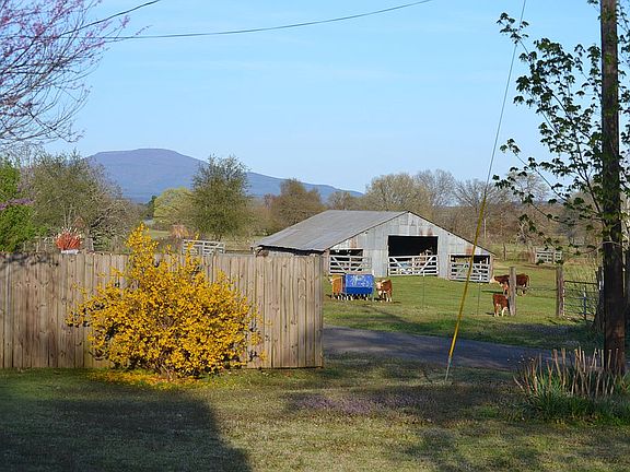 View from front patio