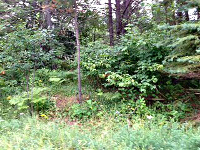 1st image of Tbd Blueberry Corner Ln