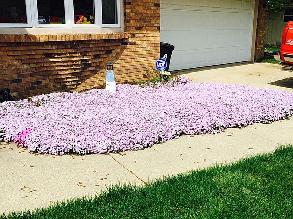 5th image of 606 Windfield Ln