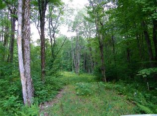 1658 Osceola Rd, Camden, NY 13316