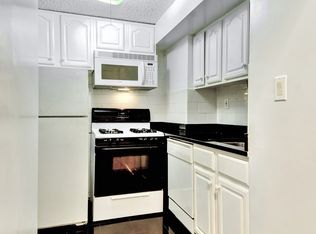 48 Market St APT 2A, New York, NY 10002