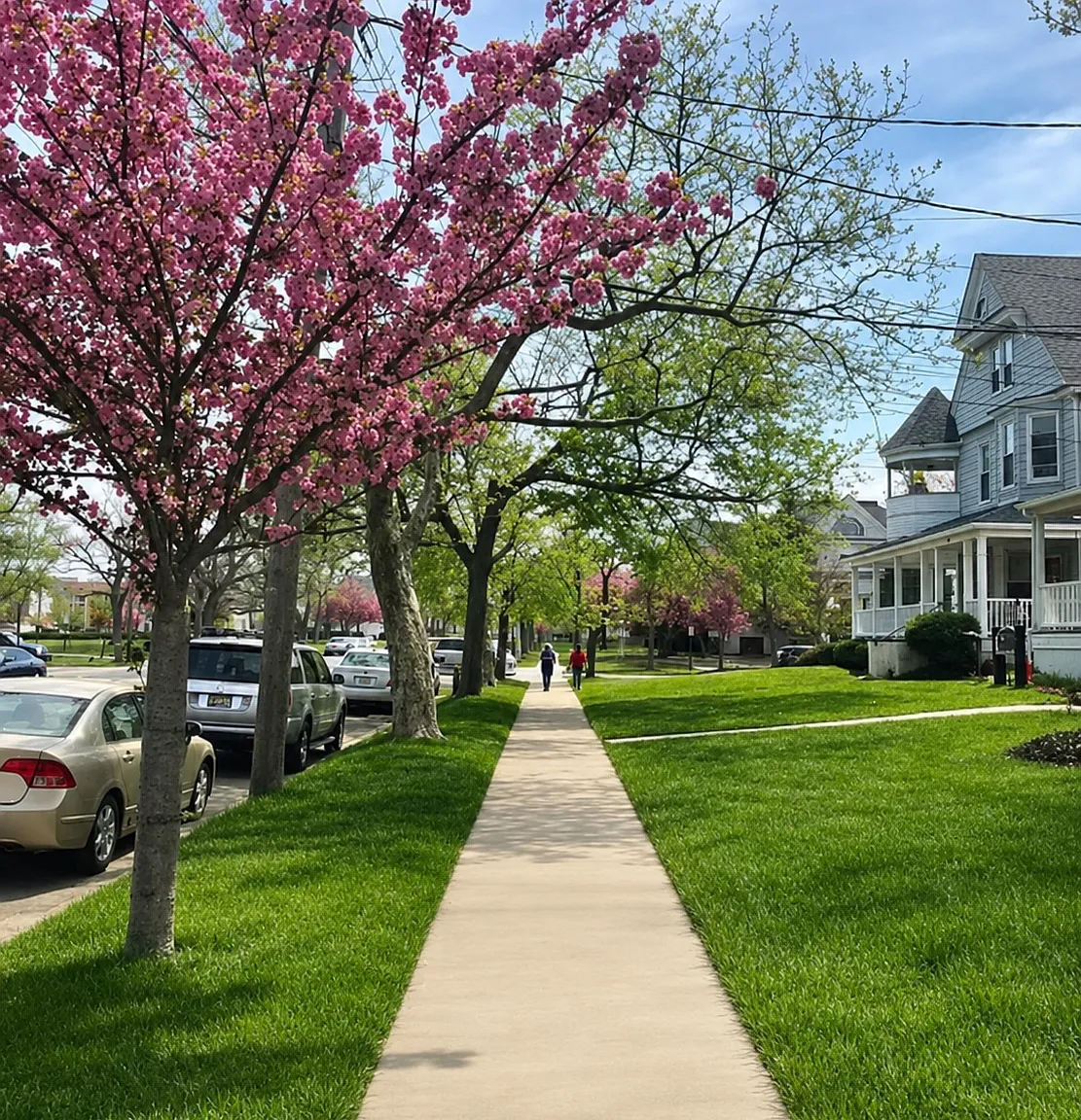1 bed, $2,050 — Photo 3