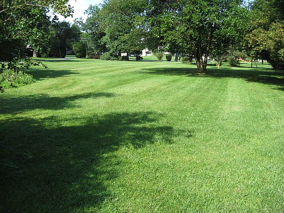 Side Yard facing Street