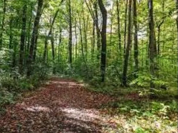 LOT 1 Ambassador Shores Dr, Leitchfield, KY 42754