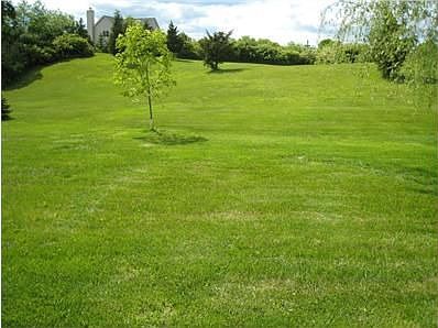 Large Yard