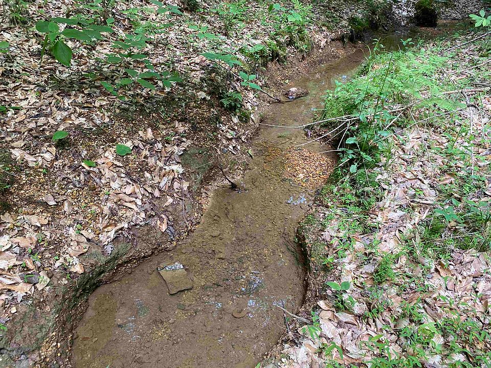 25th image of this home