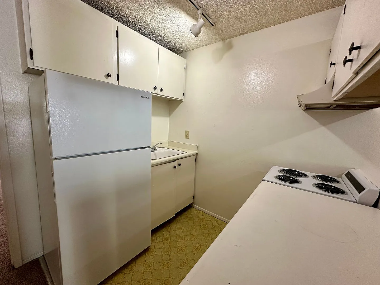 BI3000 — Photo 2