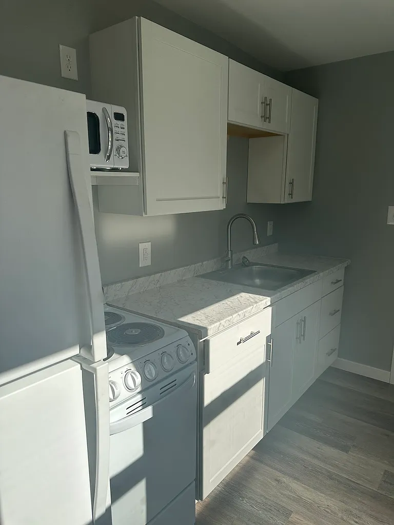 1 bed, 500 sqft, $950 — Photo 3