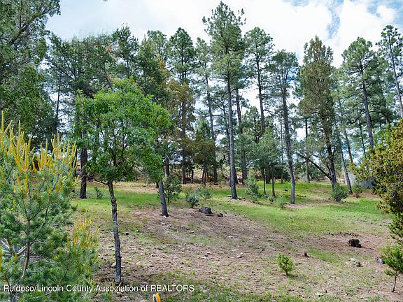 3rd image of 215 Midiron Dr #5