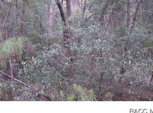 309 Little Ave, Inverness, FL 34452