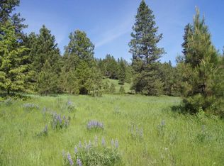 Tbd Curlew Lake Rd Tract #A, Republic, WA 99166