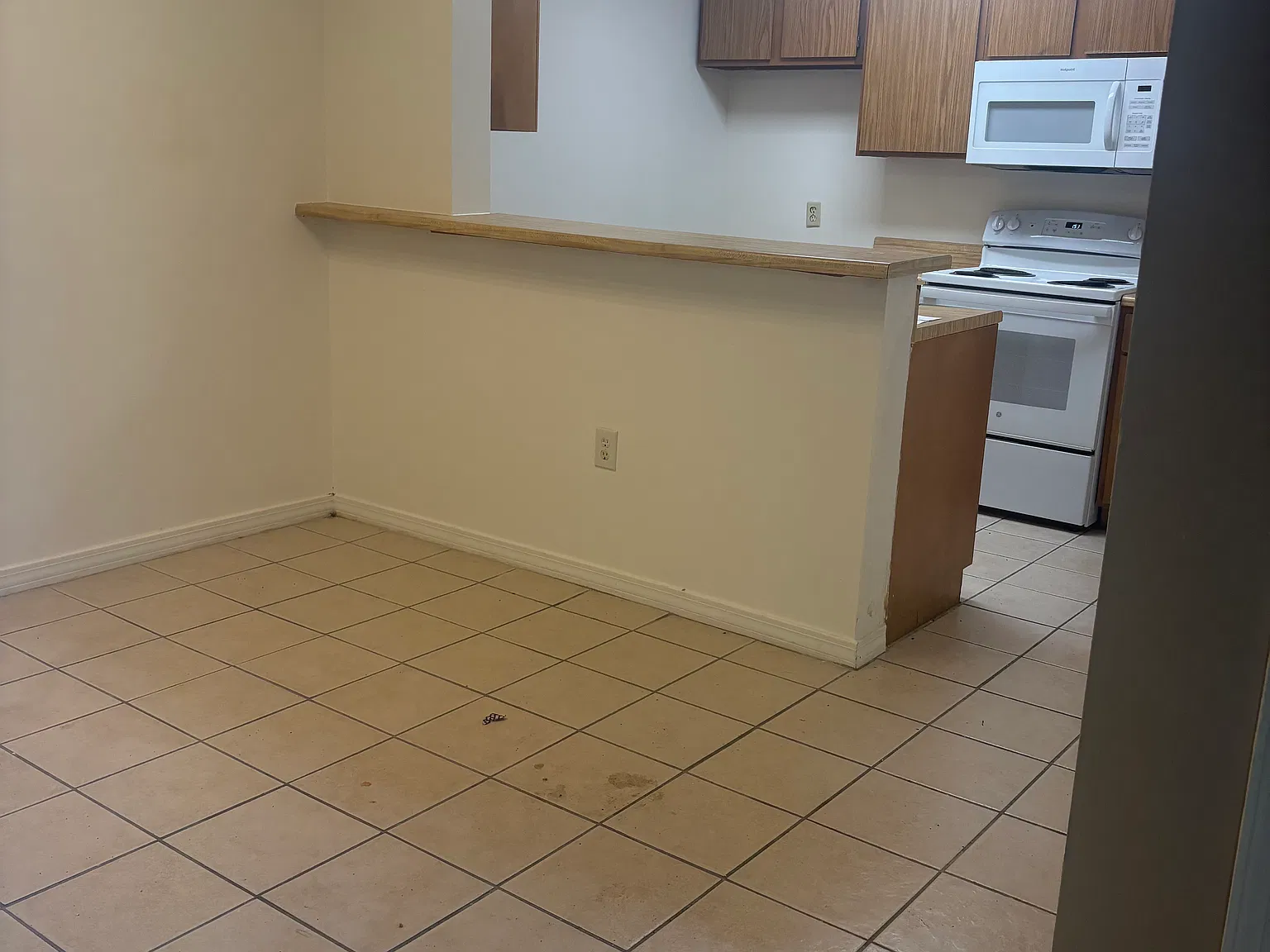 1 bed, 700 sqft, $675 — Photo 3