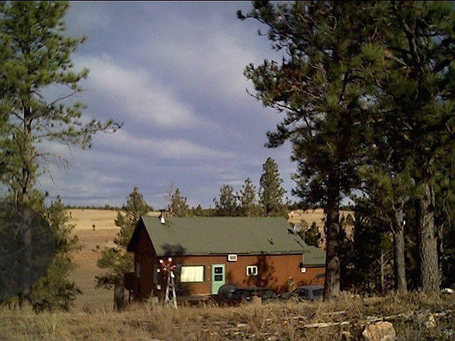 Modern cabin