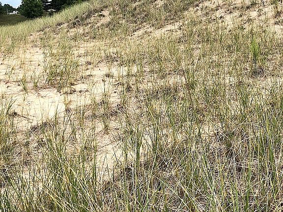 3rd image of 302 Dunes Drive