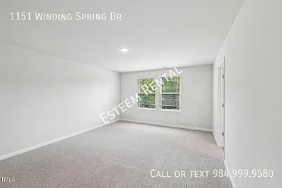 1151 Winding Spring Dr — Photo 18