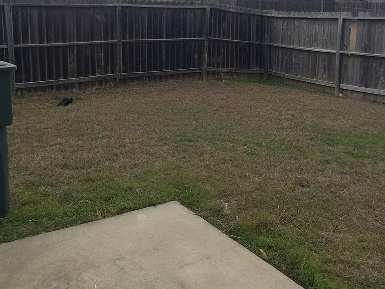 5202 Daybreak Cir — Photo 6