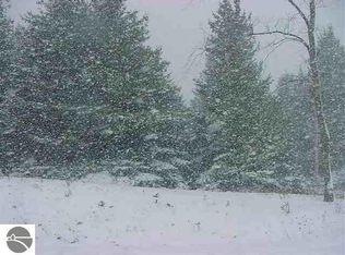 0 W Rhoby Rd, Manton, MI 49663