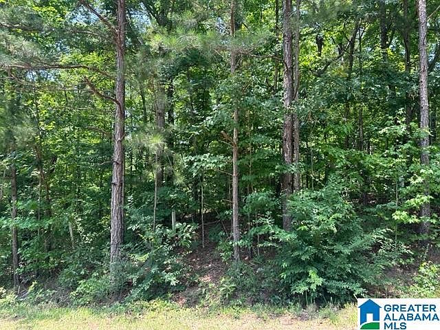 1st image of 31 Oak Forest Cir