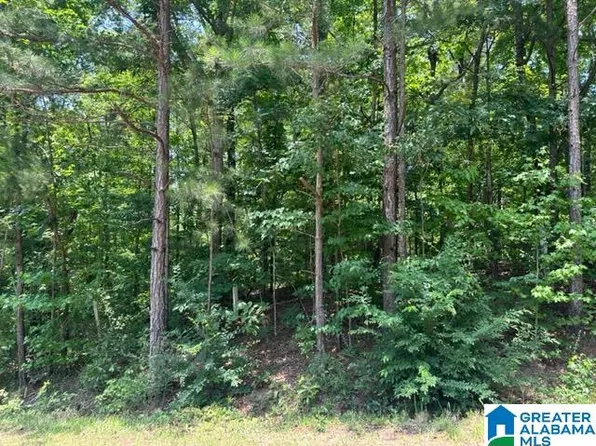 31 Oak Forest Cir, Lincoln, AL 35096