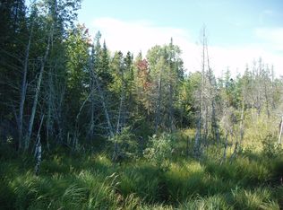 Near Wagner Vogt Rd, Butternut, WI 54514