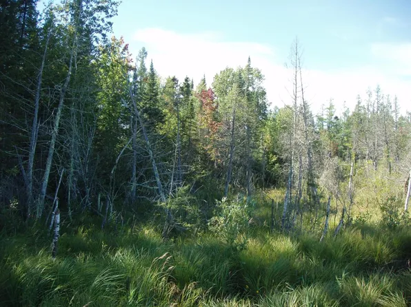 Near Wagner Vogt Rd, Butternut, WI 54514
