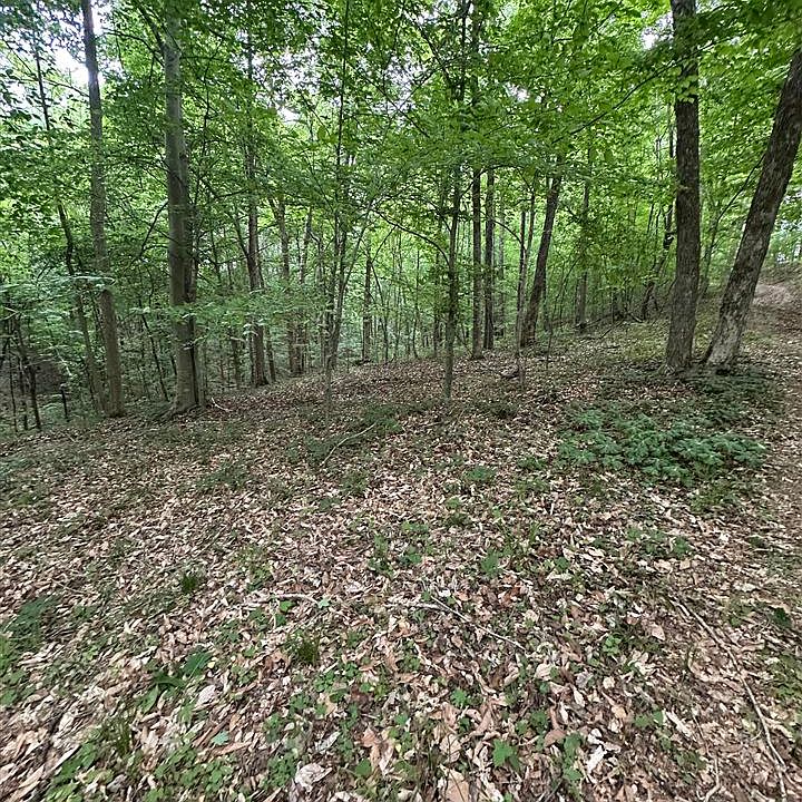 2nd image of Burnley Rd
