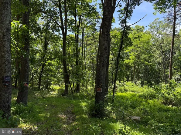 79 Cabin Rd, Augusta, WV 26704