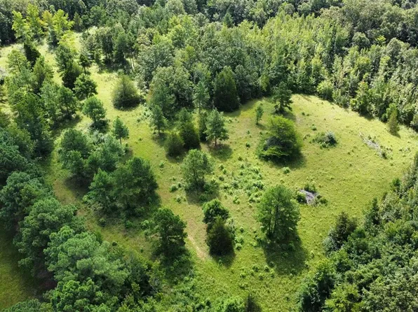 0 County Road 573, Poplar Bluff, MO 63901