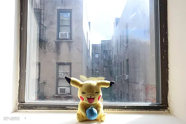 Rented by Citi Habitats