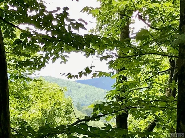 91 Hickory Dr, Sapphire, NC 28774