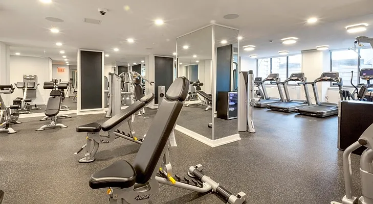 Rented by Greystar | media 40