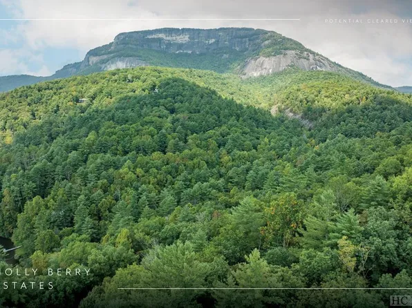 Lot 28 Twin Lakes Drive, Cashiers, NC 28717