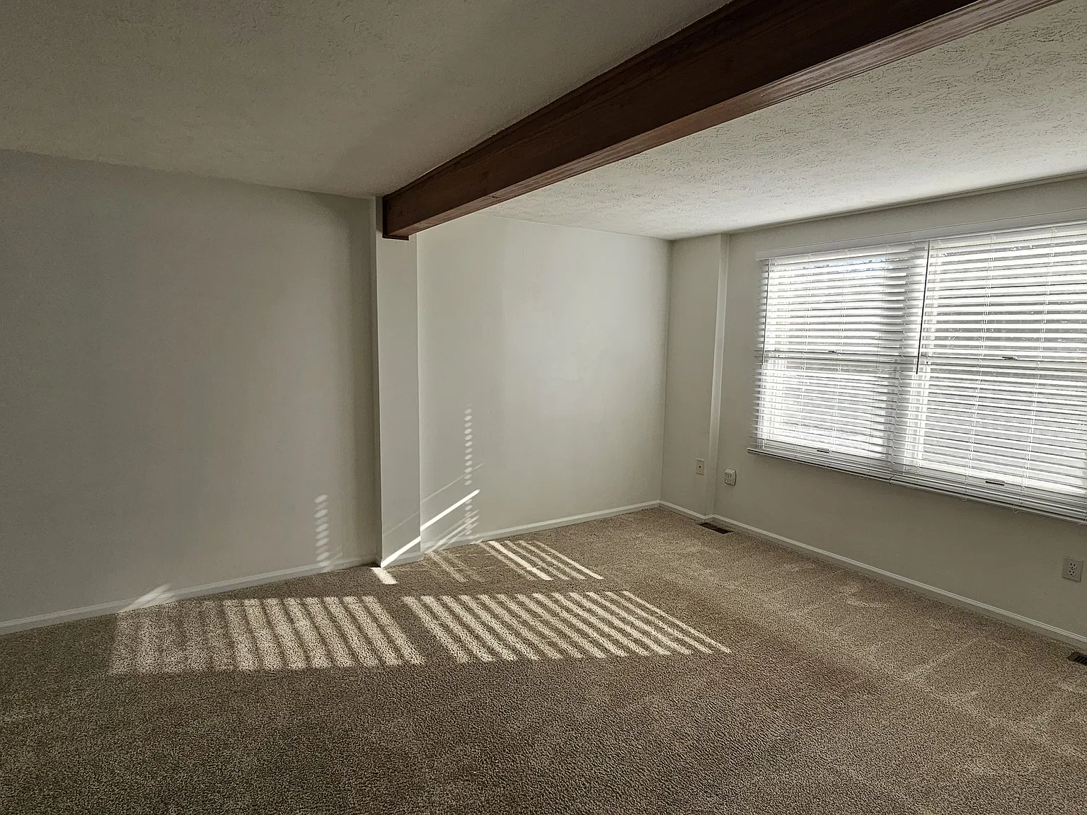 3 bed, 1.5 bath, 1350 sqft, $1,895 — Photo 4