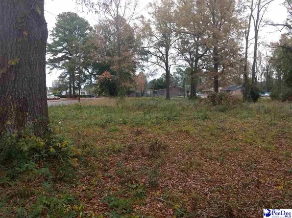 4009 S Hazel St, Lake City, SC 29560