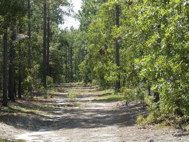 2nd image of Bertram Dr Lot 126