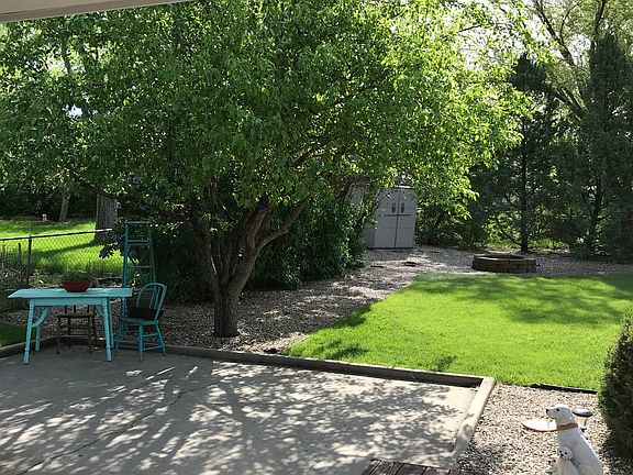 Patio, pear tree, shed