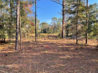 9650 NE 80th St, Bronson, FL 32621