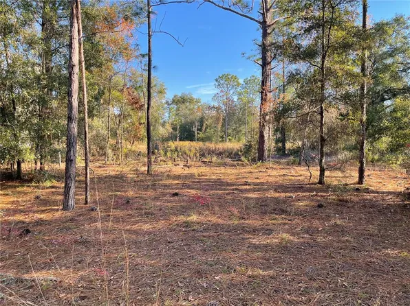 9650 NE 80th St, Bronson, FL 32621