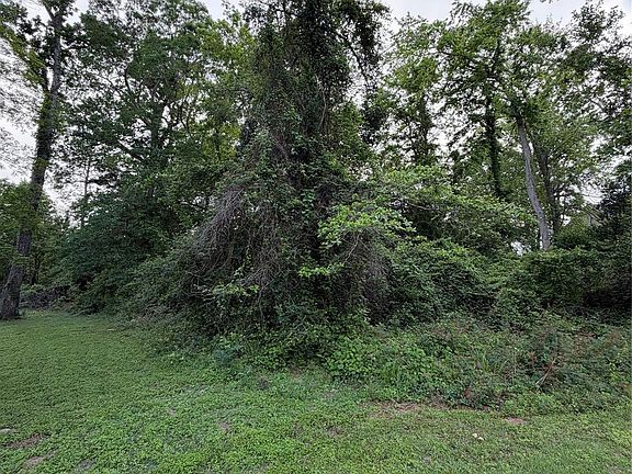 4th image of 4815 W Fork Blvd