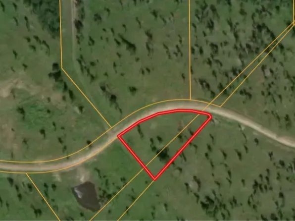 LOT 13 Eagle Falls Blvd, Trinity, TX 75862