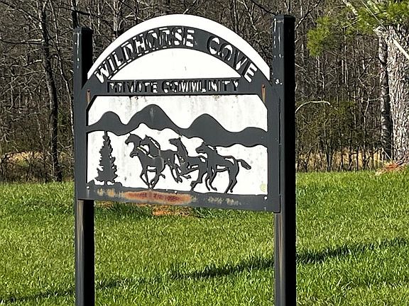 3rd image of 169 Wild Horse Cove Cir