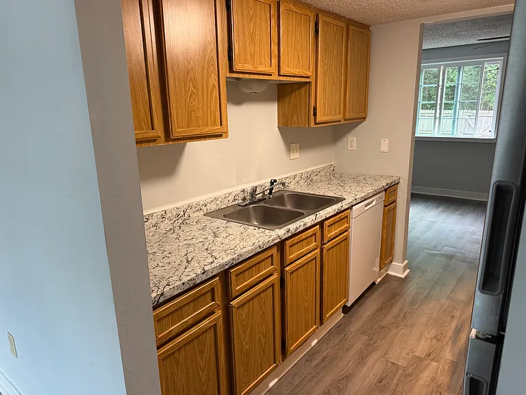 9732 Springfield Woods Cir — Photo 11